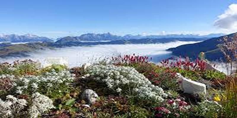 Discover the Peaceful Charm of Saalbach, Austria’s Mountain Life